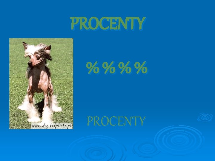 PROCENTY %%%% PROCENTY 