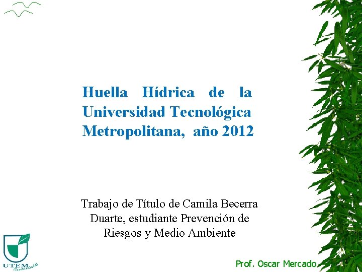 Huella Hídrica de la Universidad Tecnológica Metropolitana, año 2012 Trabajo de Título de Camila