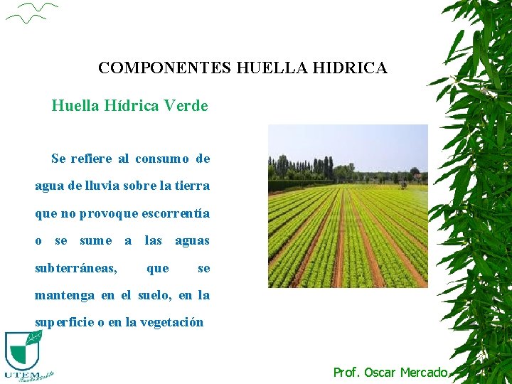 COMPONENTES HUELLA HIDRICA Huella Hídrica Verde Se refiere al consumo de agua de lluvia