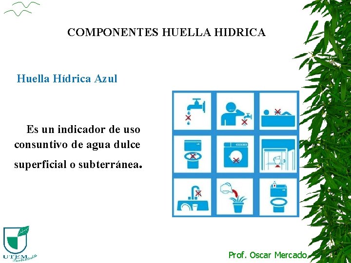 COMPONENTES HUELLA HIDRICA Huella Hídrica Azul Es un indicador de uso consuntivo de agua