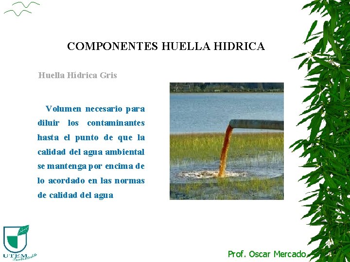 COMPONENTES HUELLA HIDRICA Huella Hídrica Gris Volumen necesario para diluir los contaminantes hasta el