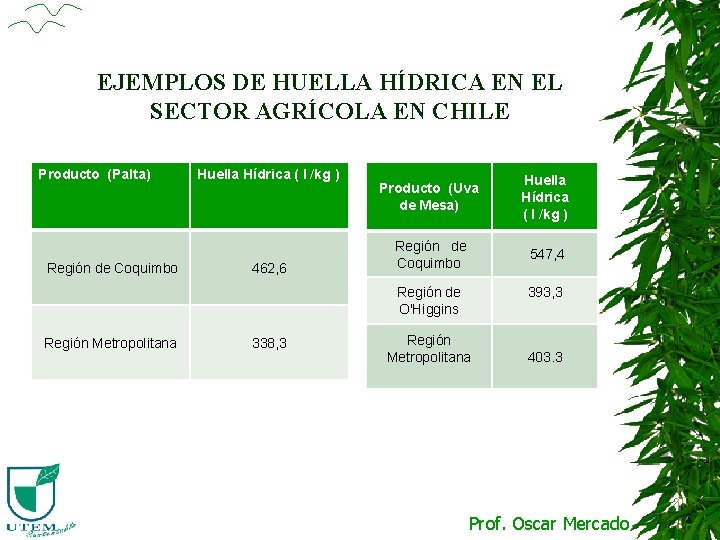 EJEMPLOS DE HUELLA HÍDRICA EN EL SECTOR AGRÍCOLA EN CHILE Producto (Palta) Región de