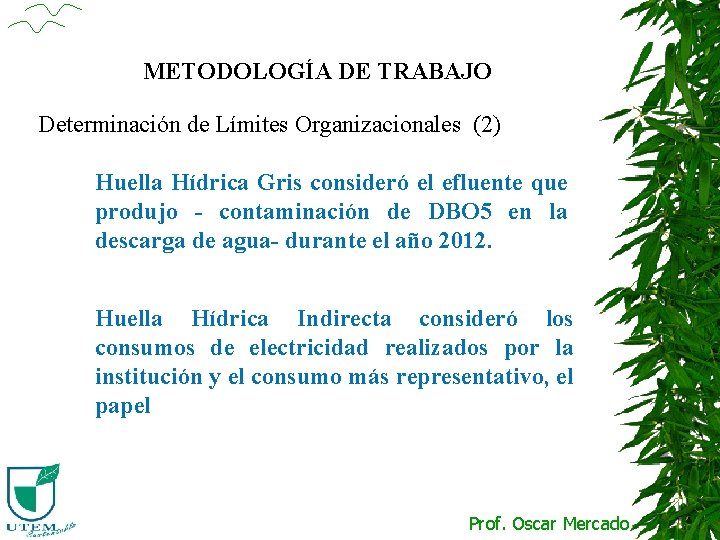 METODOLOGÍA DE TRABAJO Determinación de Límites Organizacionales (2) Huella Hídrica Gris consideró el efluente