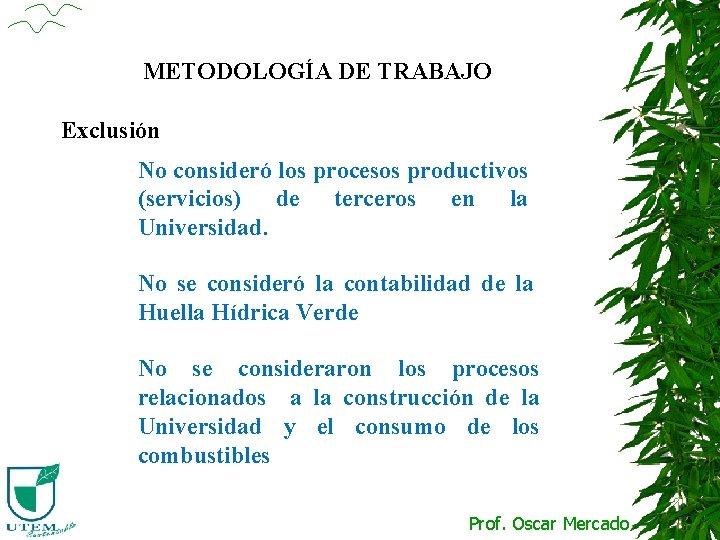 METODOLOGÍA DE TRABAJO Exclusión No consideró los procesos productivos (servicios) de terceros en la