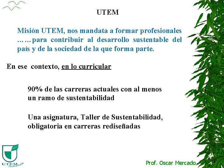 UTEM Misión UTEM, nos mandata a formar profesionales ……para contribuir al desarrollo sustentable del