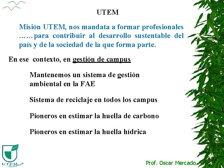 UTEM Misión UTEM, nos mandata a formar profesionales ……para contribuir al desarrollo sustentable del