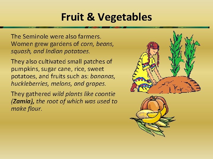 Fruit & Vegetables The Seminole were also farmers. Women grew gardens of corn, beans,