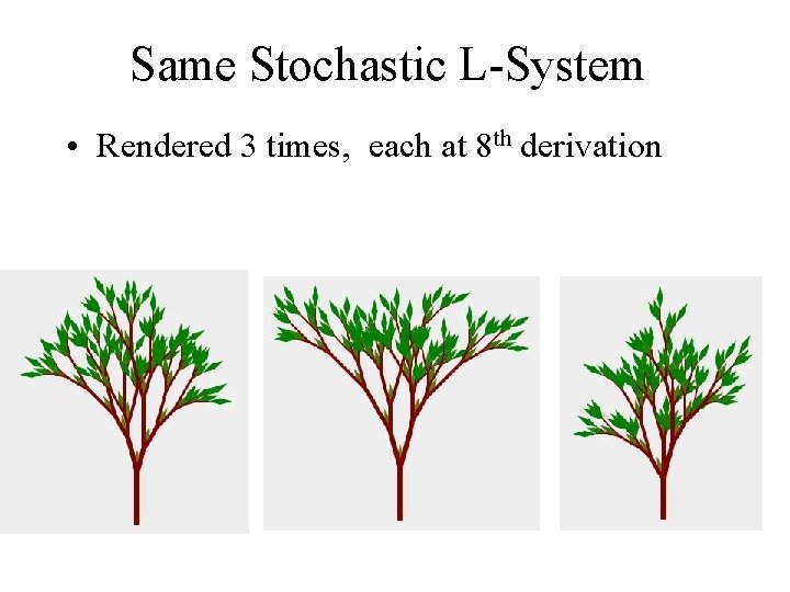Same Stochastic L-System • Rendered 3 times, each at 8 th derivation 