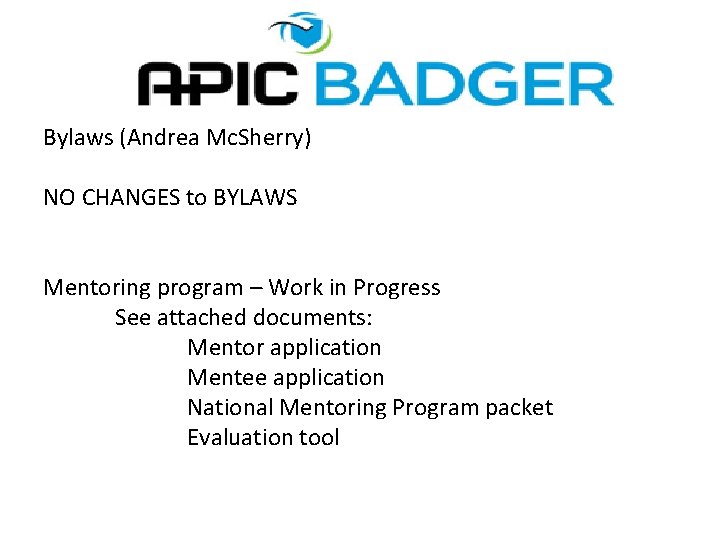 Bylaws (Andrea Mc. Sherry) NO CHANGES to BYLAWS Mentoring program – Work in Progress