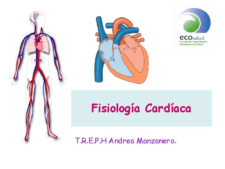 Fisiología Cardíaca T. R. E. P. H Andrea Manzanero. 
