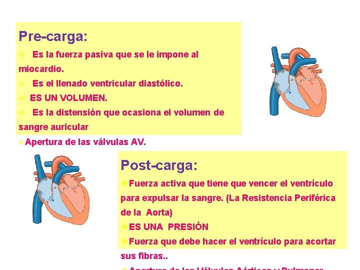 Pre-carga: v Es la fuerza pasiva que se le impone al miocardio. v v