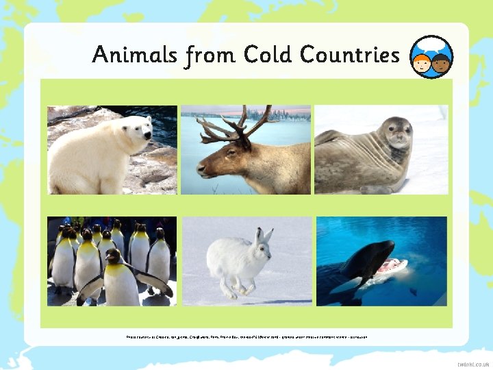 Animals from Cold Countries Photo courtesy of Chadica, son_gismo, Craig. Bullard, Remi, Prairie Boy,