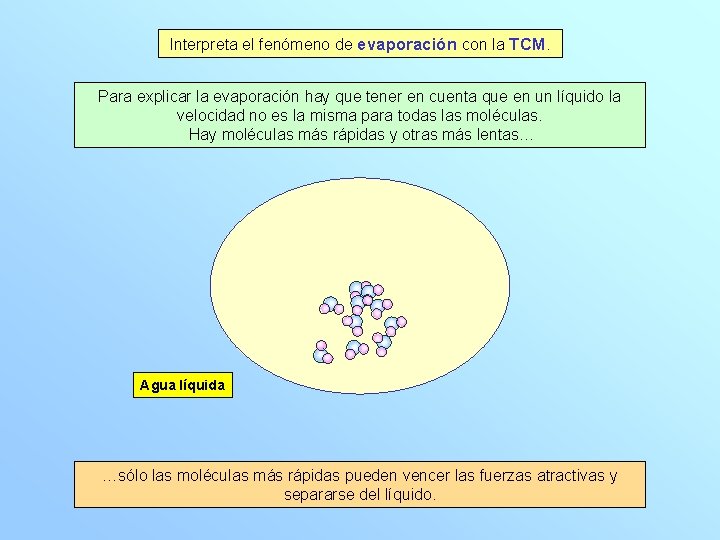 Interpreta el fenómeno de evaporación con la TCM. Para explicar la evaporación hay que