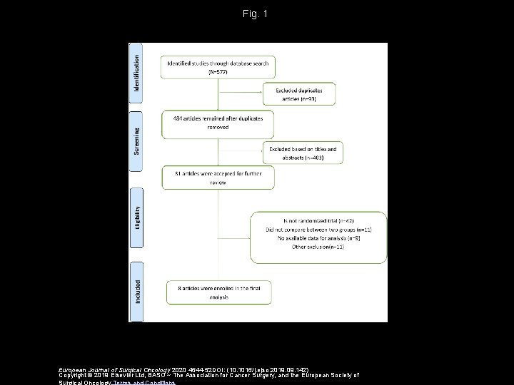 Fig. 1 European Journal of Surgical Oncology 2020 4644 -52 DOI: (10. 1016/j. ejso.