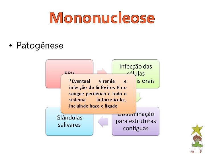 Mononucleose • Patogênese *Eventual viremia e infecção de linfócitos B no sangue periférico e
