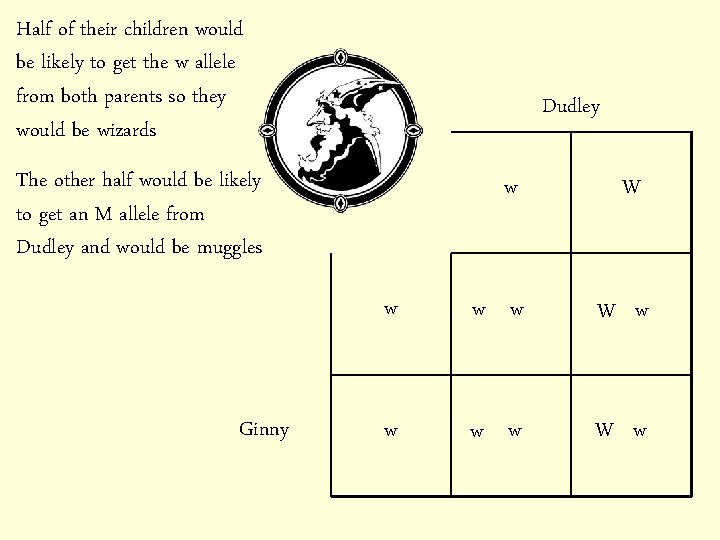 Half of their children would be likely to get the w allele from both