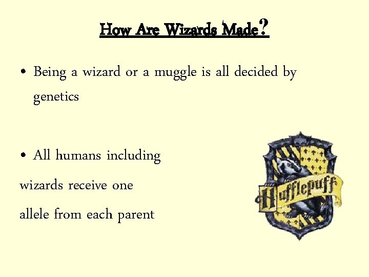 How Are Wizards Made? • Being a wizard or a muggle is all decided