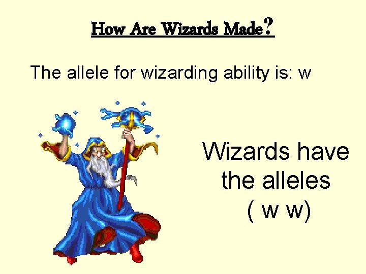 How Are Wizards Made? The allele for wizarding ability is: w Wizards have the