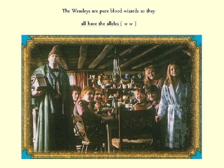 The Weasleys are pure blood wizards so they all have the alleles ( w
