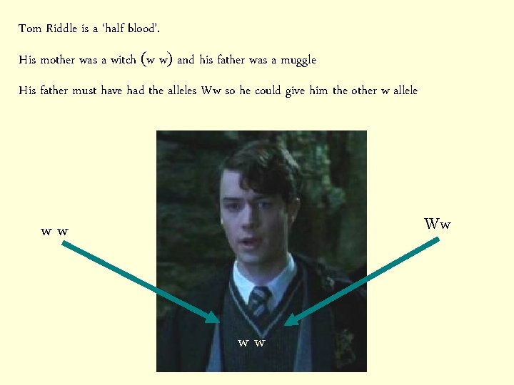 Tom Riddle is a ‘half blood’. His mother was a witch (w w) and