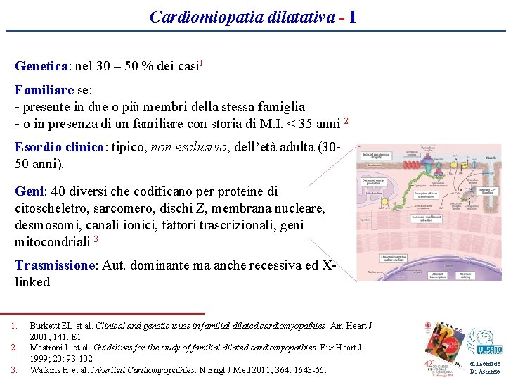 Cardiomiopatia dilatativa - I Genetica: nel 30 – 50 % dei casi 1 Familiare