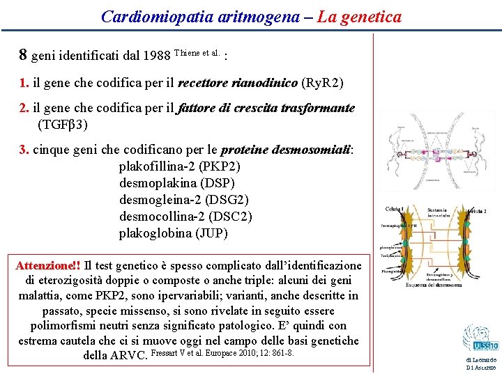 Cardiomiopatia aritmogena – La genetica 8 geni identificati dal 1988 Thiene et al. :