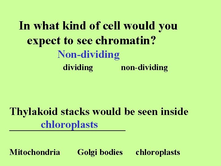 In what kind of cell would you expect to see chromatin? Non-dividing non-dividing Thylakoid