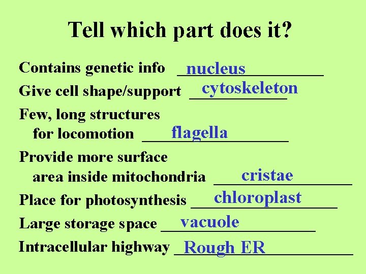 Tell which part does it? Contains genetic info _________ nucleus cytoskeleton Give cell shape/support