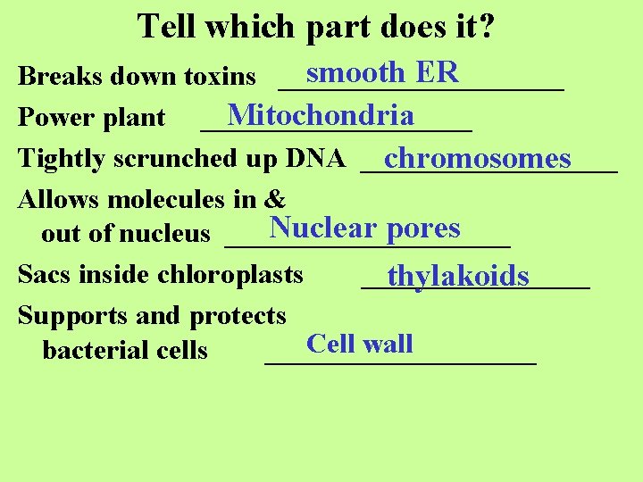 Tell which part does it? smooth ER Breaks down toxins __________ Mitochondria Power plant