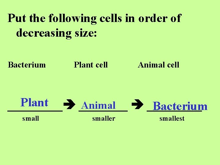 Put the following cells in order of decreasing size: Bacterium Plant cell Animal cell