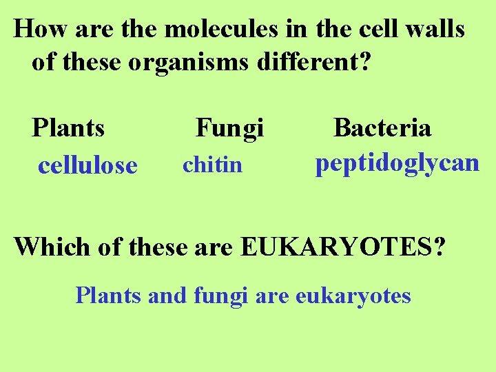 How are the molecules in the cell walls of these organisms different? Plants cellulose