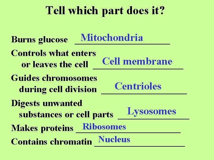 Tell which part does it? Mitochondria Burns glucose __________ Controls what enters Cell membrane