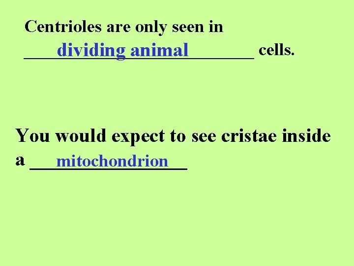 Centrioles are only seen in _____________ cells. dividing animal You would expect to see