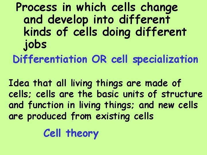 Process in which cells change and develop into different kinds of cells doing different
