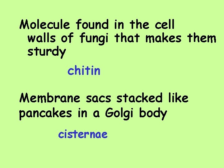 Molecule found in the cell walls of fungi that makes them sturdy chitin Membrane