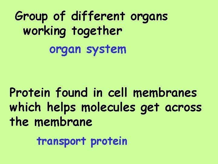 Group of different organs working together organ system Protein found in cell membranes which
