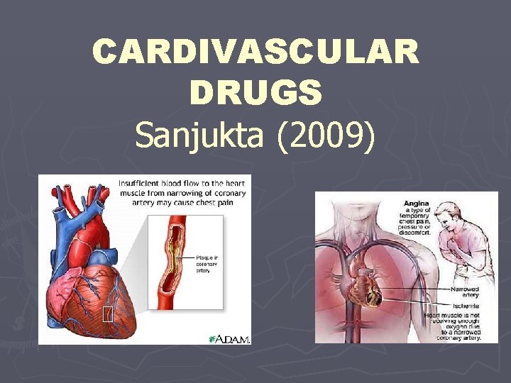 CARDIVASCULAR DRUGS Sanjukta (2009) 