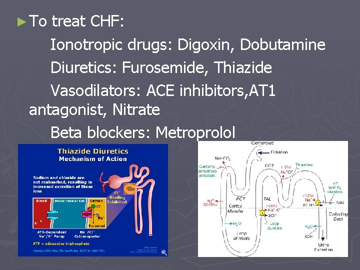 ► To treat CHF: Ionotropic drugs: Digoxin, Dobutamine Diuretics: Furosemide, Thiazide Vasodilators: ACE inhibitors,