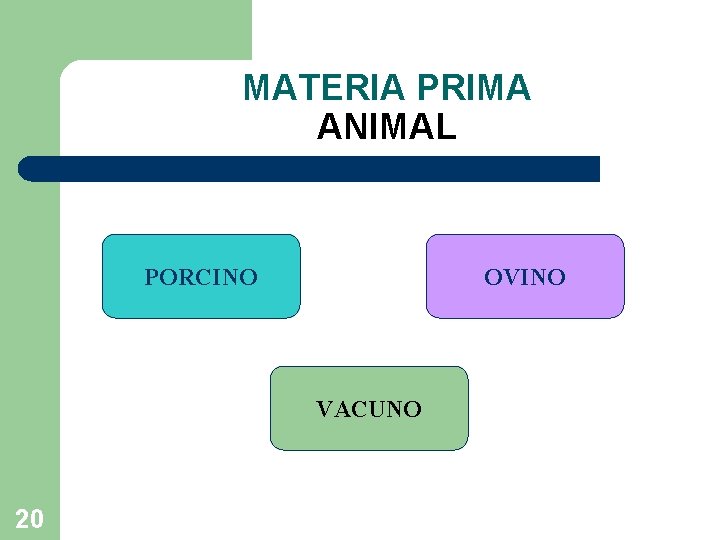 MATERIA PRIMA ANIMAL PORCINO OVINO VACUNO 20 