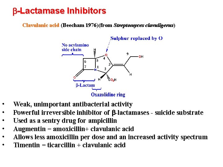 b-Lactamase Inhibitors Clavulanic acid (Beecham 1976)(from Streptomyces clavuligerus) • • • Weak, unimportant antibacterial