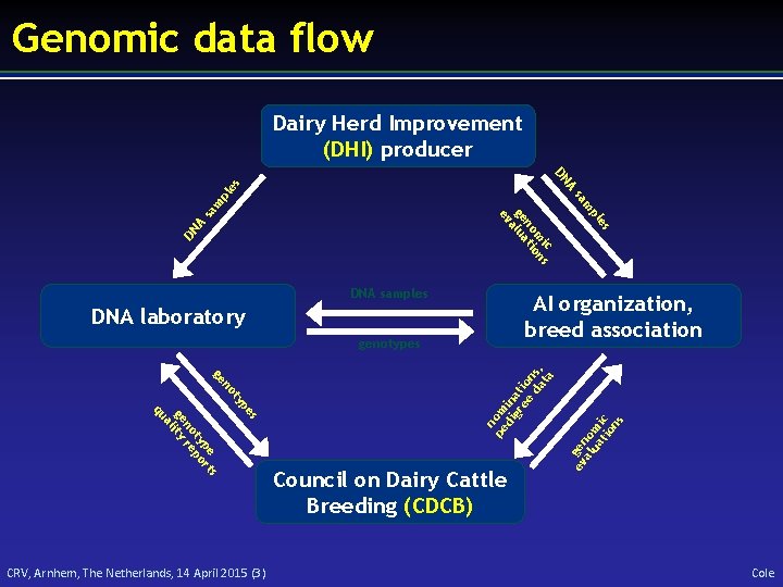 Genomic data flow Dairy Herd Improvement (DHI) producer s pe ty no ge s