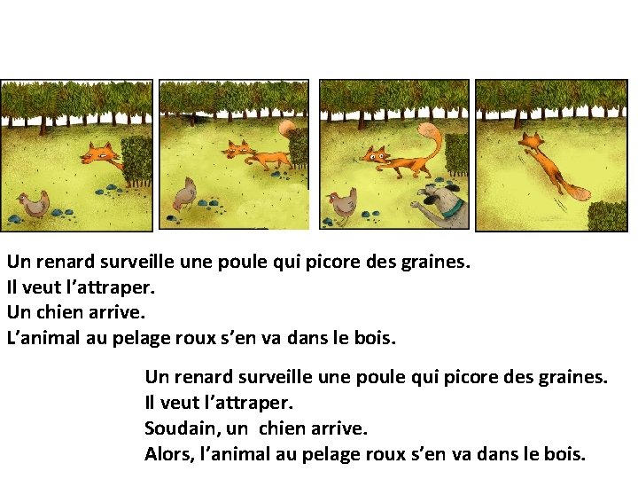 Un renard surveille une poule qui picore des graines. Il veut l’attraper. Un chien