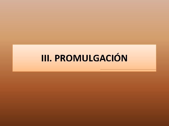 III. PROMULGACIÓN 