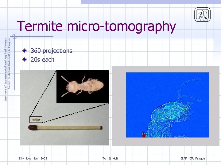 Institute of Experimental and Applied Physics Czech Technical University in Prague Termite micro-tomography 360