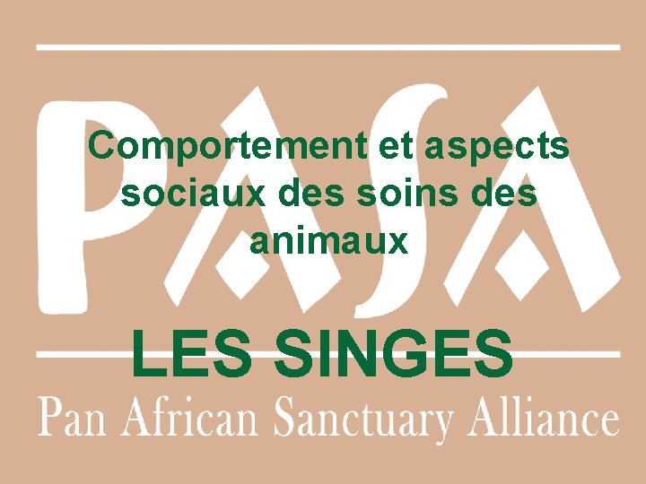 Comportement et aspects sociaux des soins des animaux LES SINGES 