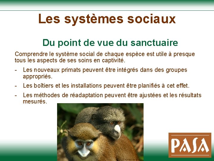 Les systèmes sociaux Du point de vue du sanctuaire Comprendre le système social de