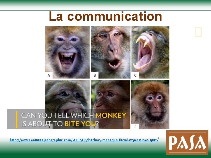 La communication http: //news. nationalgeographic. com/2017/06/barbary-macaque-facial-expressions-quiz / 