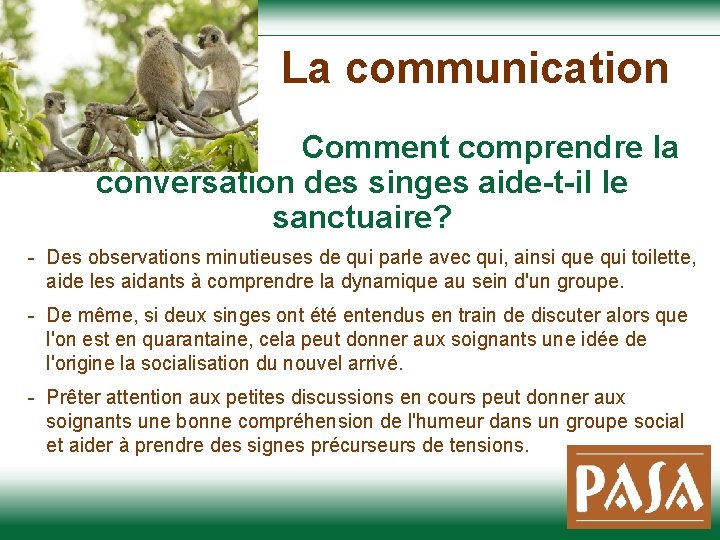  La communication Comment comprendre la conversation des singes aide-t-il le sanctuaire? - Des