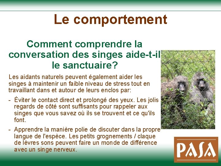 Le comportement Comment comprendre la conversation des singes aide-t-il le sanctuaire? Les aidants naturels