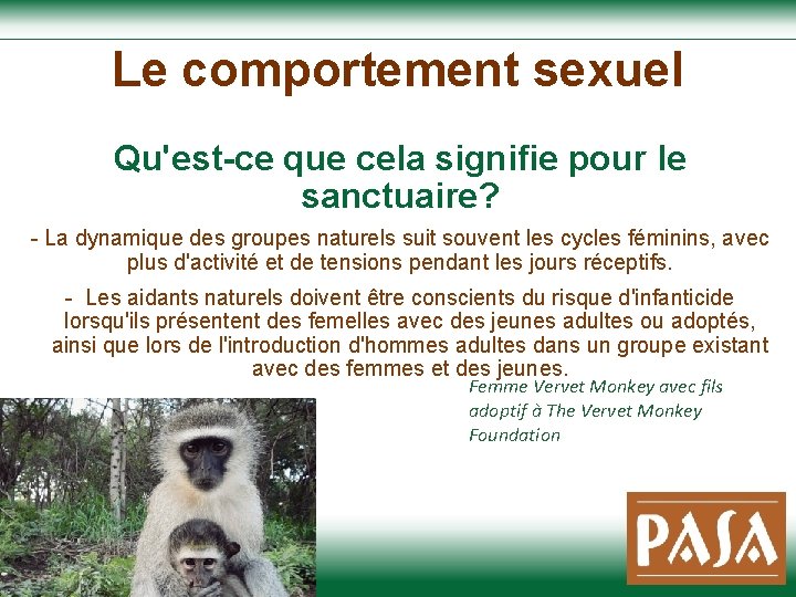 Le comportement sexuel Qu'est-ce que cela signifie pour le sanctuaire? - La dynamique des